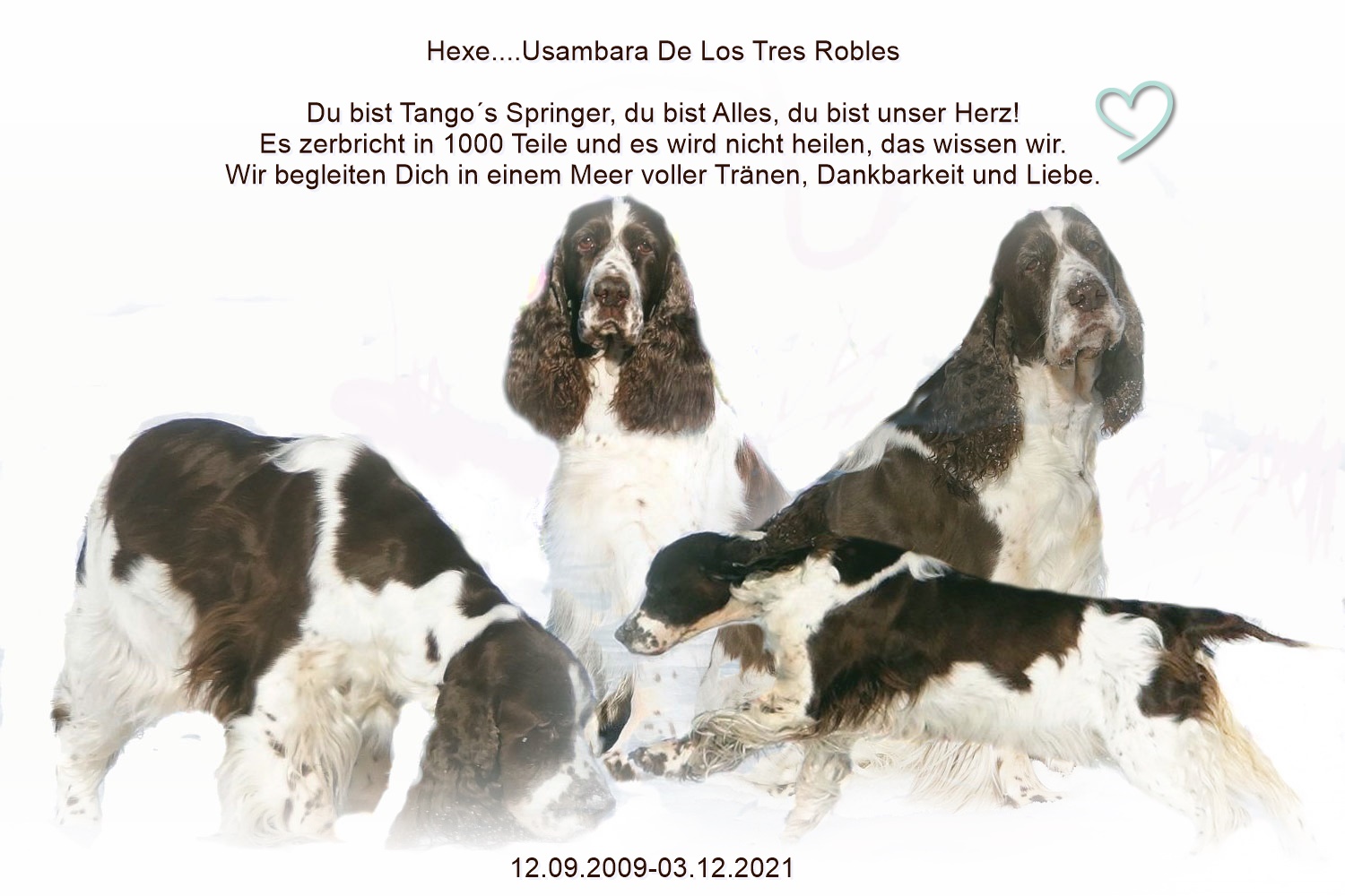 hexe03.12