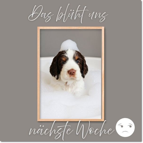Das-blüht-uns