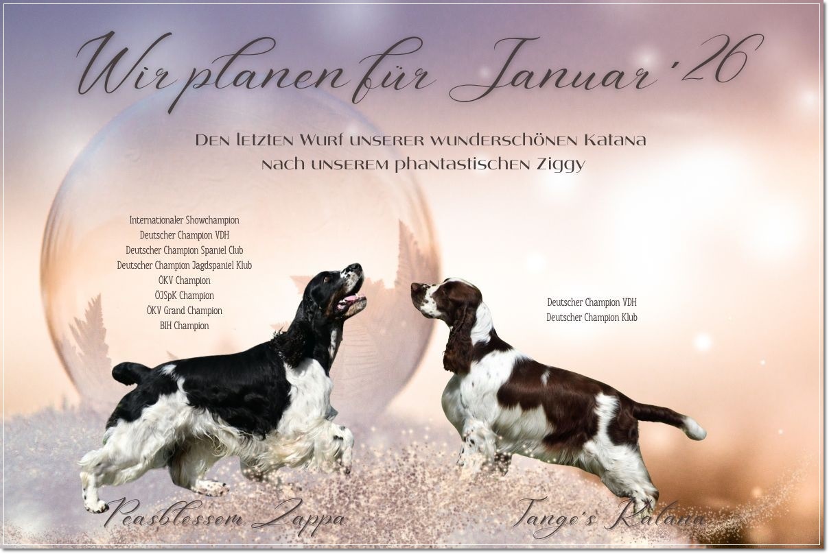 Wir planen für Januar ´26 (1)