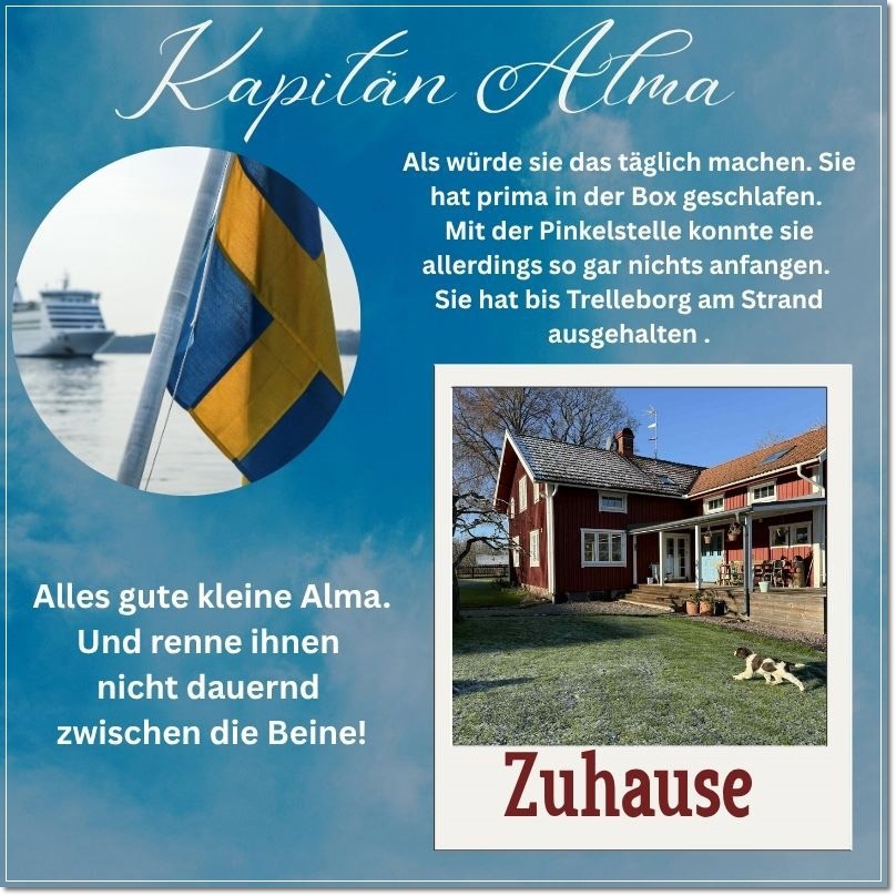 Zuhause