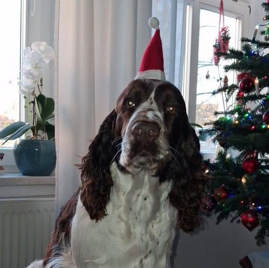 606478583_34438386429094202_5310840784552312094_n