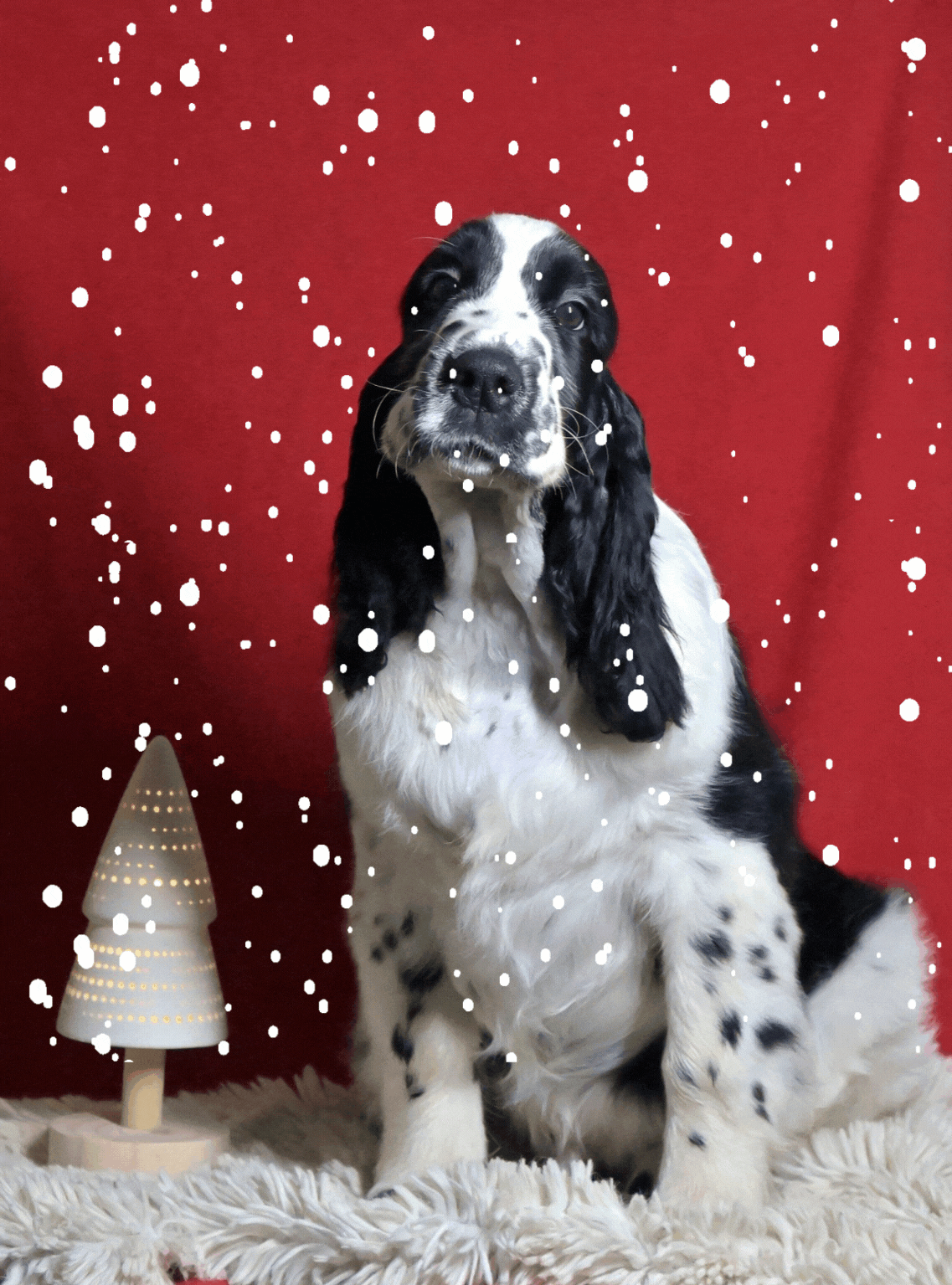 Design ohne Titel (2)