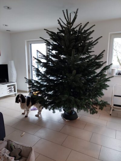 WhatsApp Image 2025-12-23 at 12.26.57