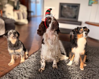 WhatsApp Image 2025-12-23 at 19.26.08