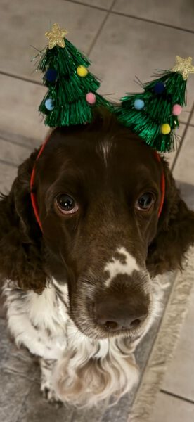 WhatsApp Image 2025-12-24 at 07.32.04