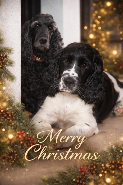 WhatsApp Image 2025-12-24 at 09.34.42