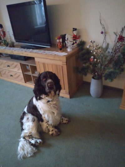 WhatsApp Image 2025-12-24 at 10.07.24