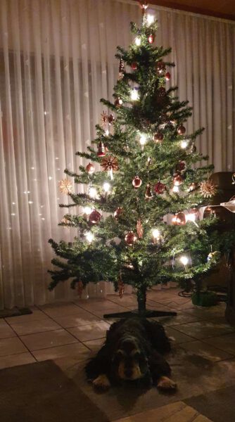 WhatsApp Image 2025-12-24 at 10.08.50