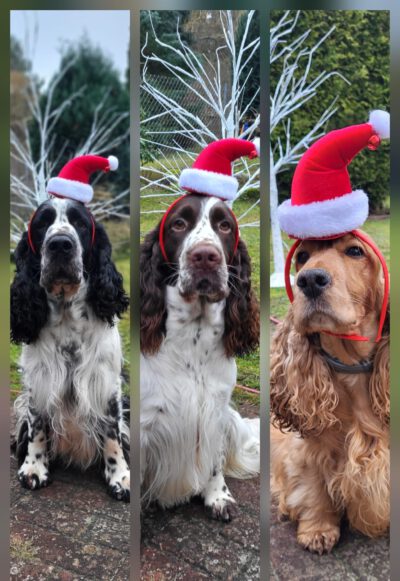 WhatsApp Image 2025-12-24 at 10.14.12