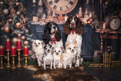 WhatsApp Image 2025-12-24 at 10.24.56