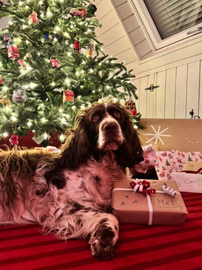 WhatsApp Image 2025-12-24 at 10.38.44