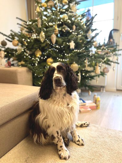 WhatsApp Image 2025-12-24 at 11.23.33