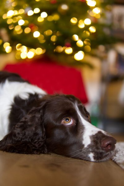 WhatsApp Image 2025-12-24 at 12.12.36