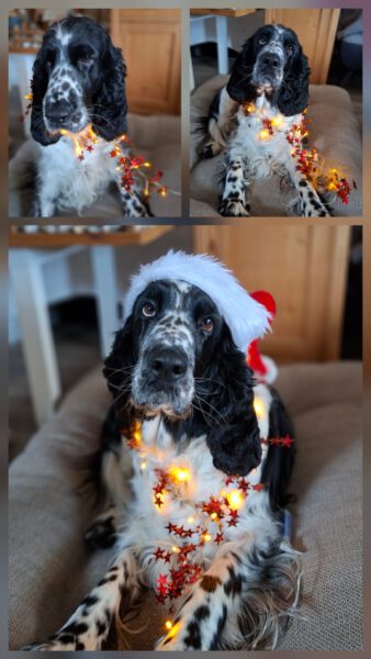 WhatsApp Image 2025-12-24 at 12.32.55