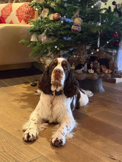 WhatsApp Image 2025-12-24 at 13.29.11