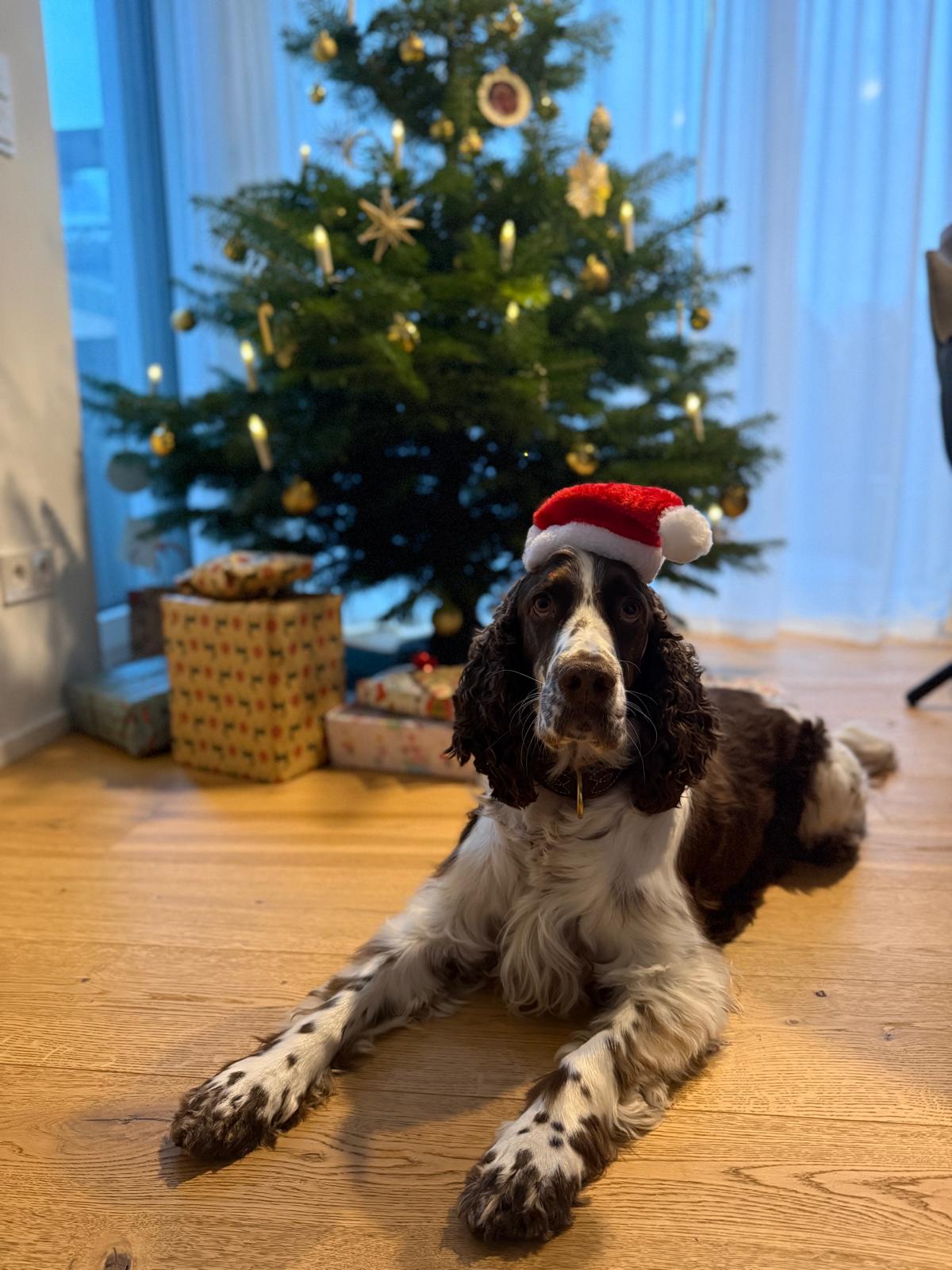 WhatsApp Image 2025-12-24 at 14.42.32