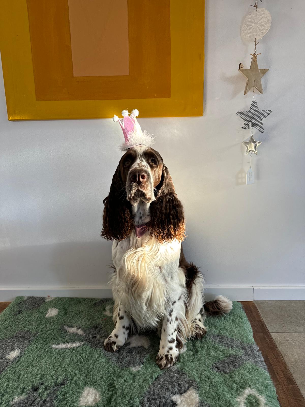 WhatsApp Image 2025-12-24 at 14.50.49