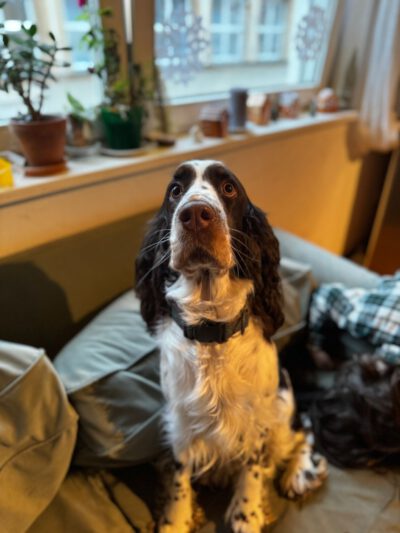 WhatsApp Image 2025-12-24 at 15.13.09