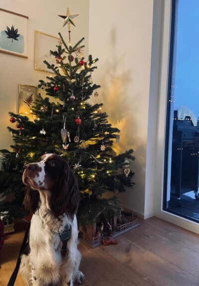 WhatsApp Image 2025-12-24 at 16.49.47