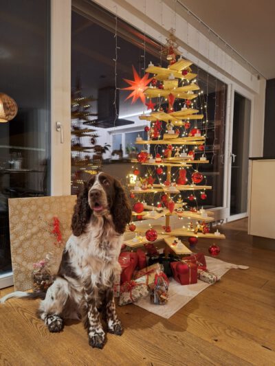 WhatsApp Image 2025-12-24 at 17.21.16