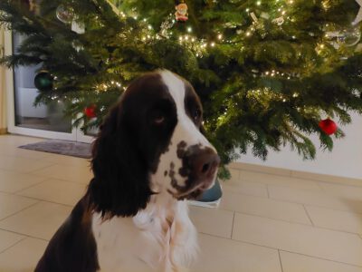 WhatsApp Image 2025-12-24 at 19.04.48