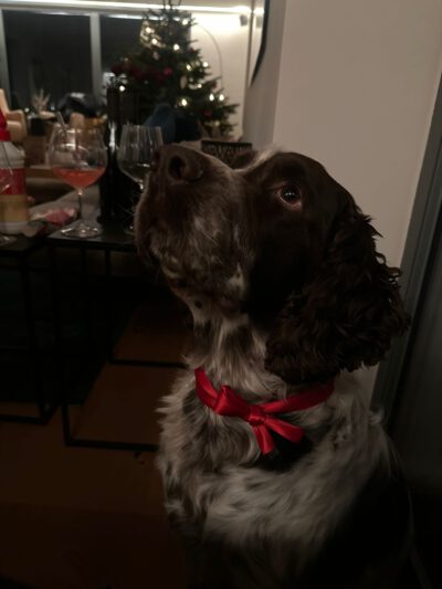 WhatsApp Image 2025-12-24 at 19.41.36