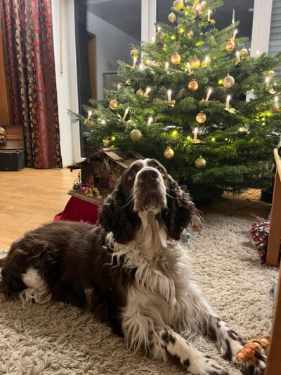 WhatsApp Image 2025-12-24 at 22.40.17