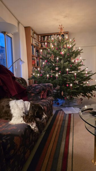 WhatsApp Image 2025-12-26 at 17.10.15