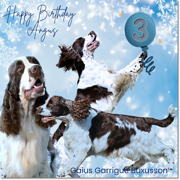 Happy-Birthday-Angus