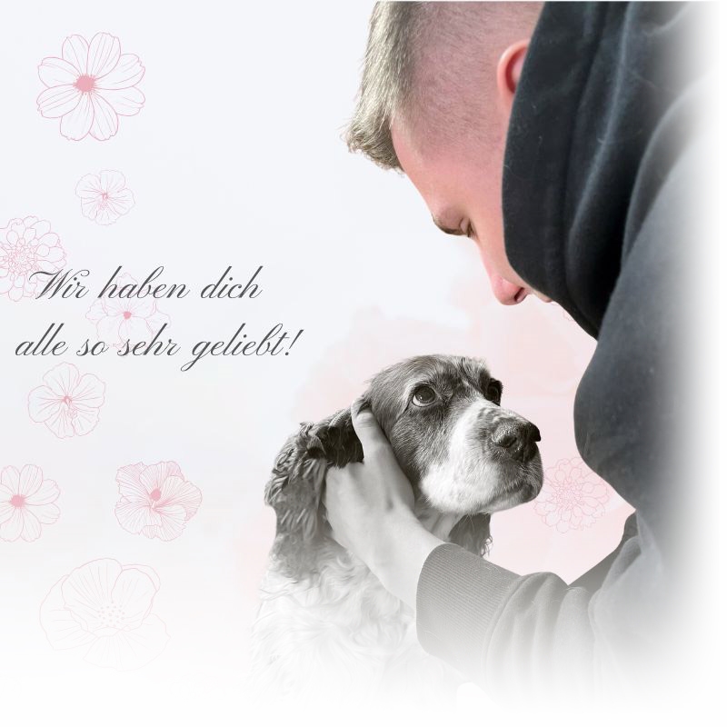 Wir-haben-dich-alle-so-sehr