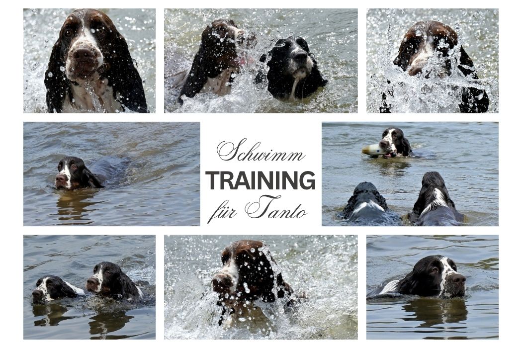 Tanto Schwimmtraining