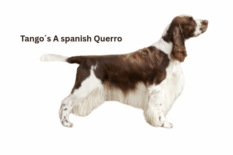 Perfektion vor Augen (2)