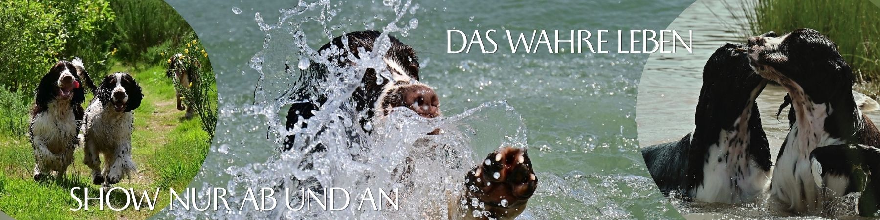 Das wahre leben