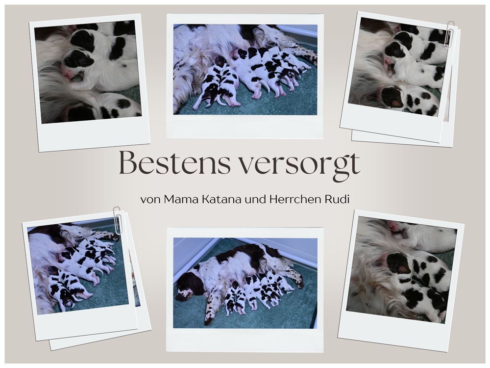Bestens versorgt