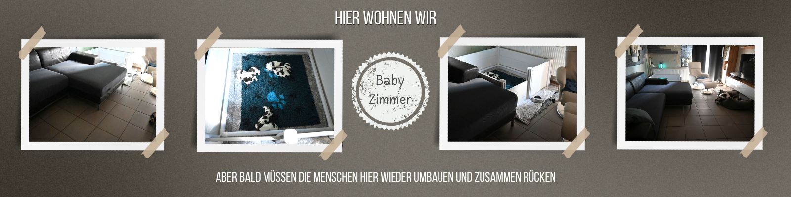 Hier wohnen wir