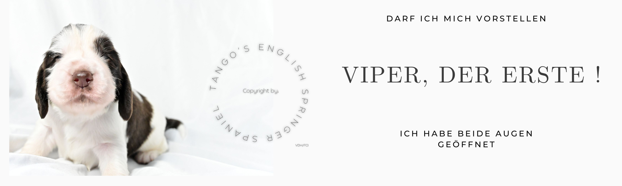 Viperhp