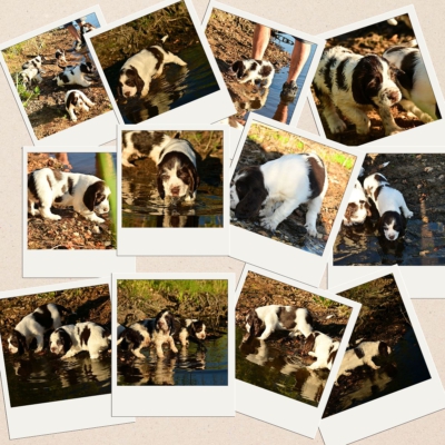 Besuch am See