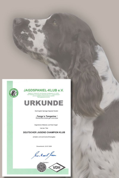 Fritzi-jgd-ch