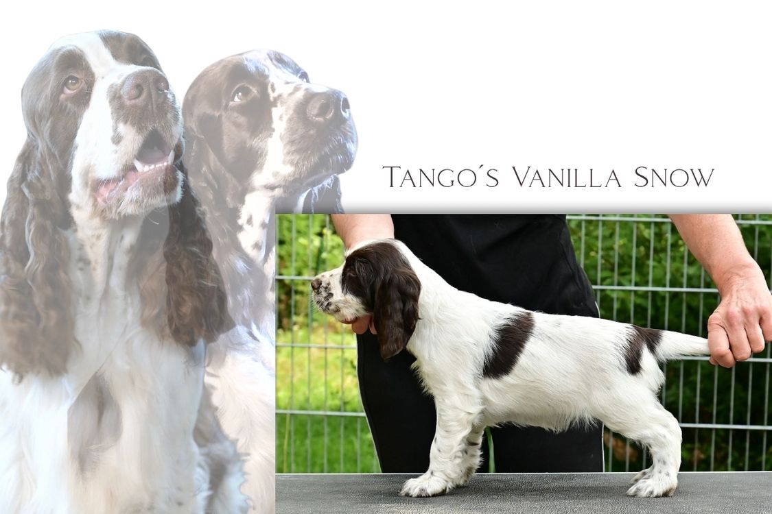 Vanilla (1)