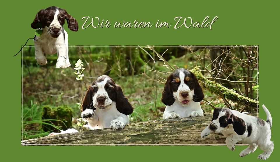 Wir waren im Wald