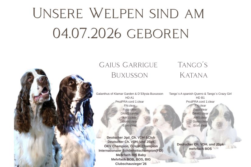 welpen (8)